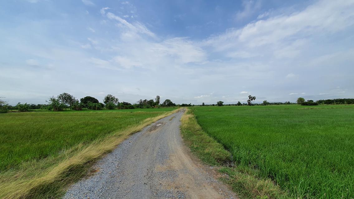 ฮวงจุ้ยดีเยี่ยมริมน้ำคลองธรรมชาติ  วิวท้องทุ่งแบบ 360 องศา แปลงเล็ก ราคาถูก ใกล้ ม.เกษตรกำแพงแสน 5