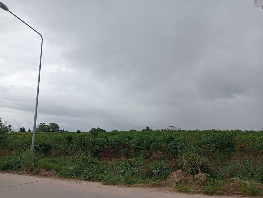 ขายที่ดินระยอง ปลวกแดง 5 ไร่ (พื้นที่สีม่วงลาย) ติดนิคมอุตสาหกรรม อมตะซิตี้ระยอง โซนจีน 4