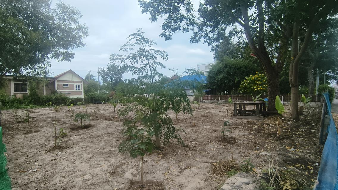 ขายถูก ที่ดินแปลงเล็ก หาดสุขเสมอ ชะอำ 7