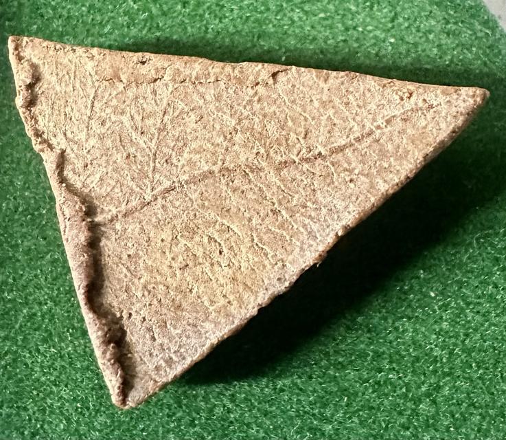 .พระสมเด็จแสน หลังใบโพธิ์ สังฆราชป๋า วัดโพธิ์ รุ่นแรก ปี2512 เนื้อจัด สวยสมบูรณ์เดิมๆ รูปที่ 7