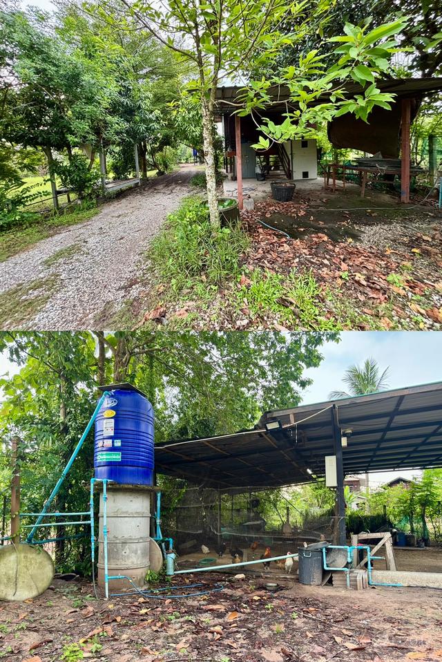 ขายบ้านสวน 5ไร่ ใกล้วัดป่าบ้านตาด 14