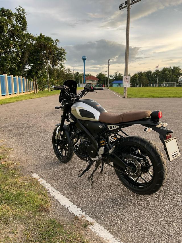 XSR155 4