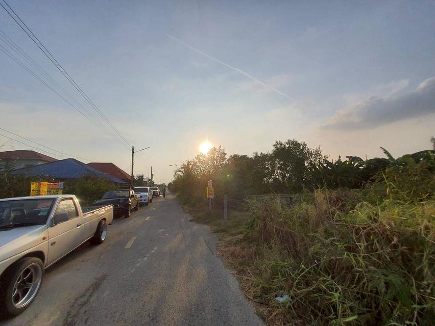 ขายด่วนที่ดิน 50 ตรว ติดถนนสาธารณะ ถมแล้ว ซ.คลองสี่ ตอ.14/1 คลองหลวง ปทุมธานี 5