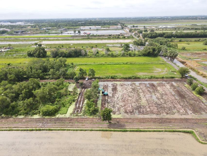 ที่ดินคลอง 5 คลองหลวง ทำเลดี ใกล้มอเตอร์เวย์! 9