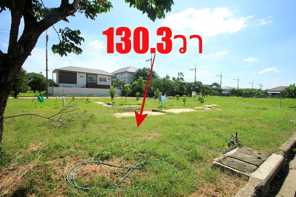 ที่ดินพระราม2 สารินซิตี้บ้านเมฆา โรงเรียนอัสสัมชัญพระราม2 วัดพันท้ายนรสิงห์ ที่ดินสร้างบ้านติดถนนเมน2ด้าน 130.3 ตร.ว ขายต่ำกว่าราคาประเมิน 22,000/วา 17