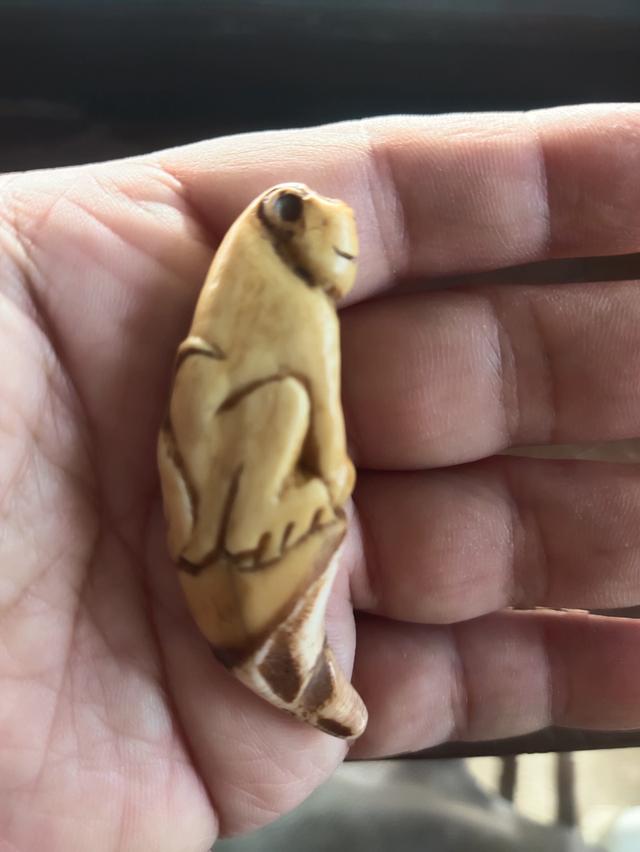 ค,หมี 