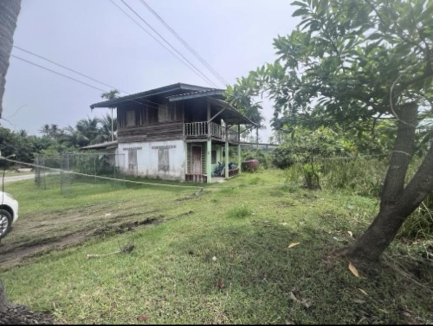 บ้านเดี่ยวพร้อมที่ดิน 9