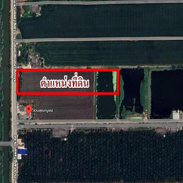 ขายที่นา10ไร่ หนองเสือ คลอง9 ปทุมธานี ถนนคอนกรีต2เลนส์ 12M 6