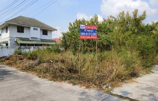 ขาย ที่ดิน - 75 ตรว อยู่ในโครงการจัดสรร ม.หาดน้ำริน 1