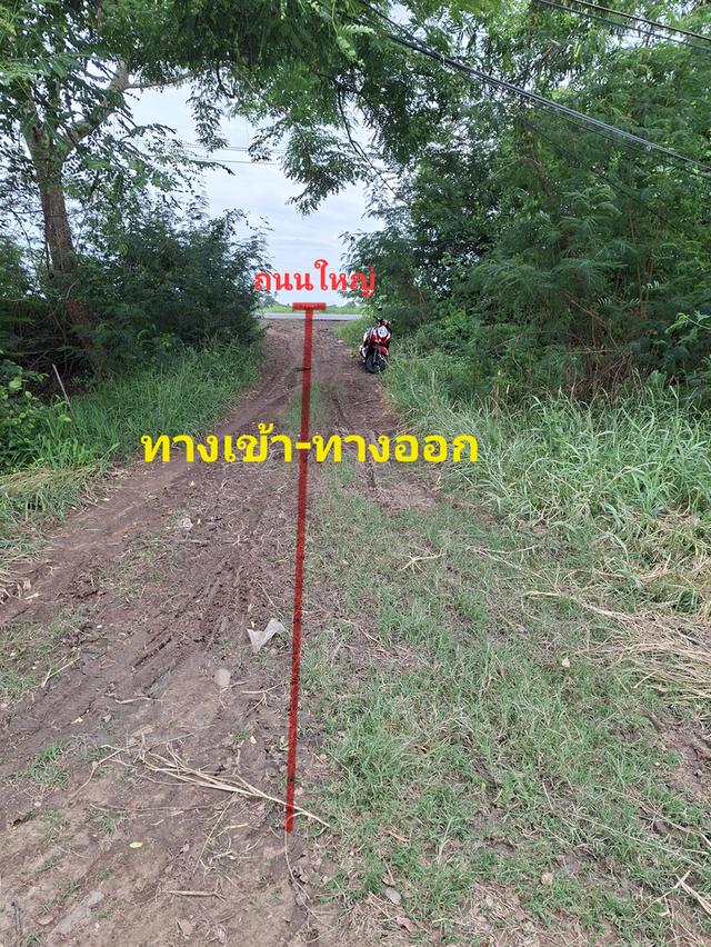 ที่ดิน 4