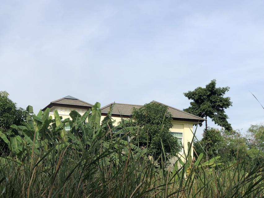 บ้านเดียว 2 ชั้นพร้อมสระว่ายน้ำ 11