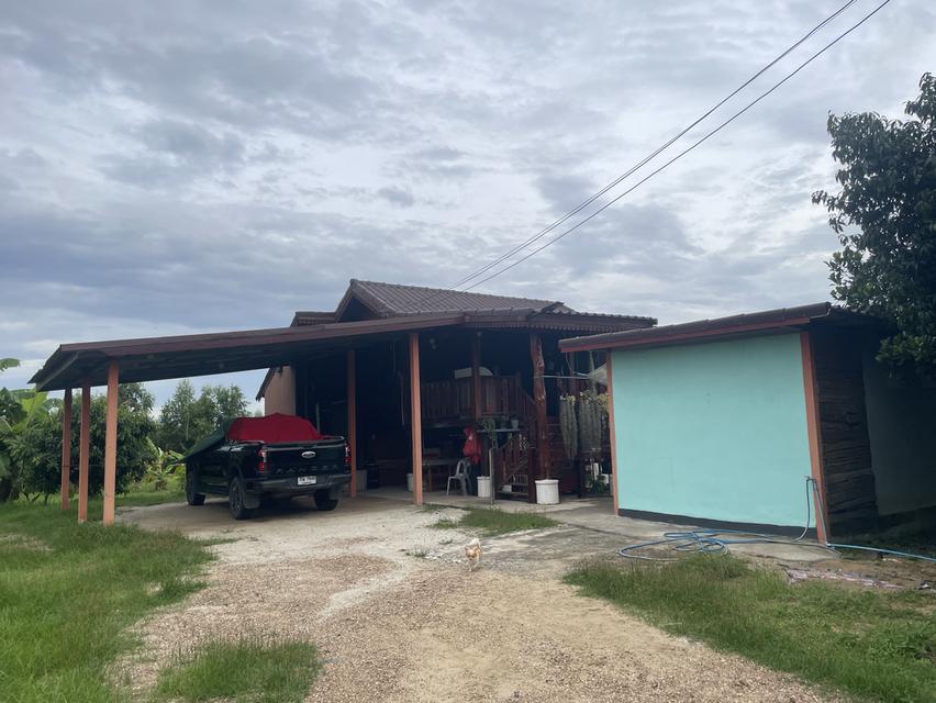 บ้านเดี่ยวพร้อมที่ดิน