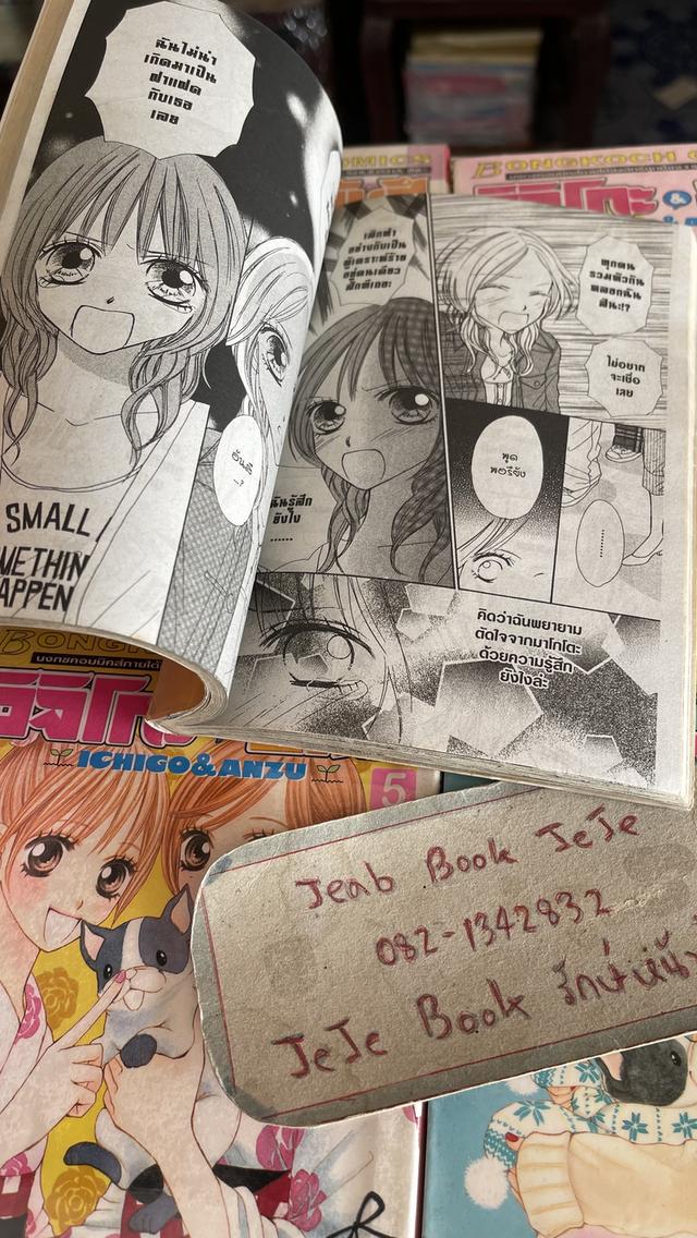 หนังสือการ์ตูน อิจิโกะ&อันสึ 1-5 จบ รูปที่ 4