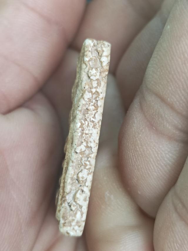 พระสมเด็จวัดระฆังพิมพ์ปรกโพธิ์ รูปที่ 2