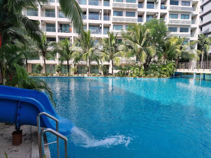 ขาย/ให้เช่า คอนโดติดสระ pool access วิวน้ำตกจากผาหิน ลากูน่า บีช รีสอร์ท 3 - เดอะ มัลดีฟส์