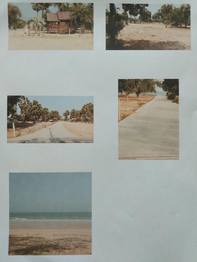 รูป ที่ดินเปล่า ใกล้ชายหาดชะอำ เพชรบุรี เห็นชายหาดได้ยินเสียงคลื่นทะเล 10ไร่2งาน77 ตรว. 4