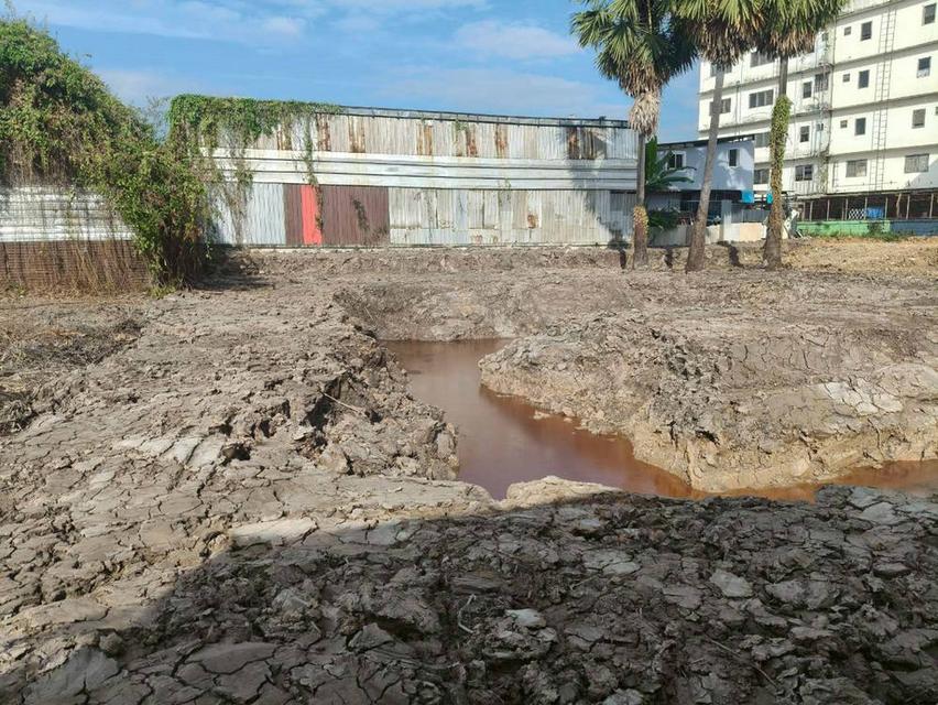 ให้เช่าที่ดิน 200 ตารางวา ทางเข้า รร.เทศบาลเมืองปทุมธานี ถนน 346 บางปรอก เมืองปทุมธานี