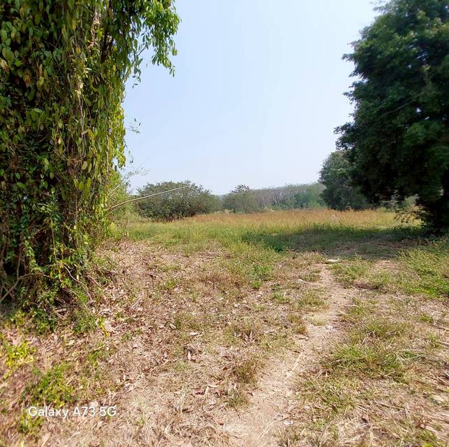 ขายที่ดินเปล่าในจ.ลำพูน ด้านหน้าติดถนนใหญ่ ติดแม่น้ำ พื้นที่สวย ทำเลดี อยู่ในเขตชุมชน ปลอดภัย ห่างจากสถานที่ราชการไม่เกิน 700 เมตร 5