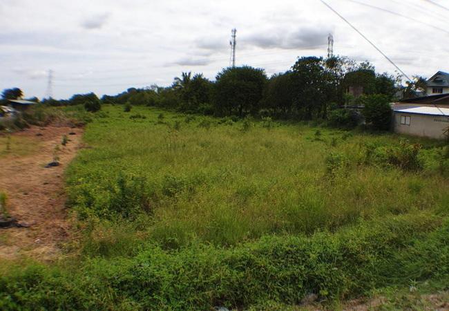 ขายที่ดิน ติดถนนบ้านกล้วย-ไทรน้อย ตำบลไทรน้อย อำเภอไทรน้อย นนทบุรี 8