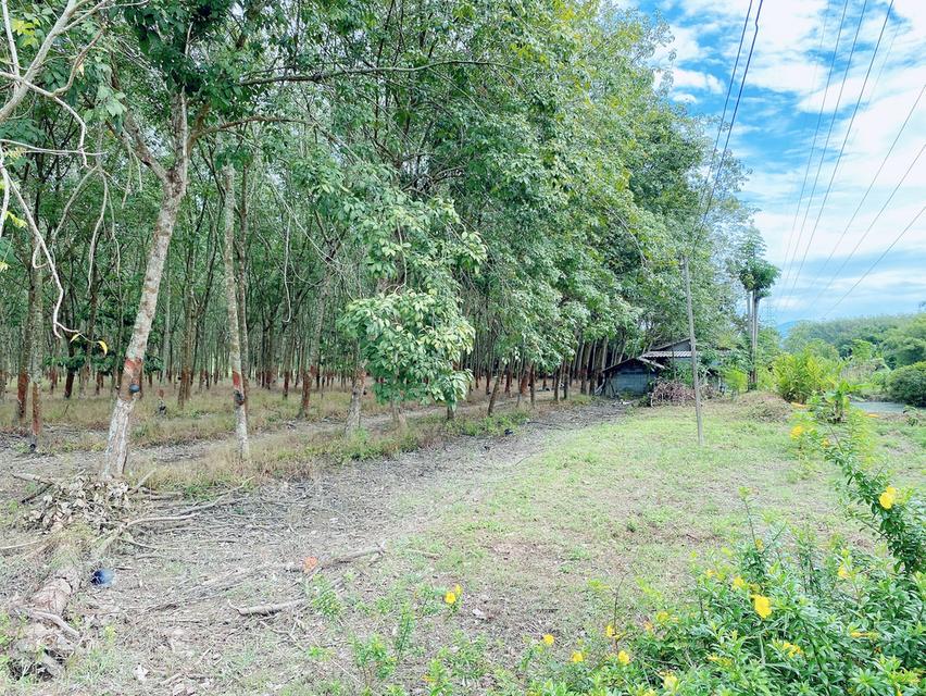 ขายที่ดินทำเล EEC บ้านค่าย ระยอง 3