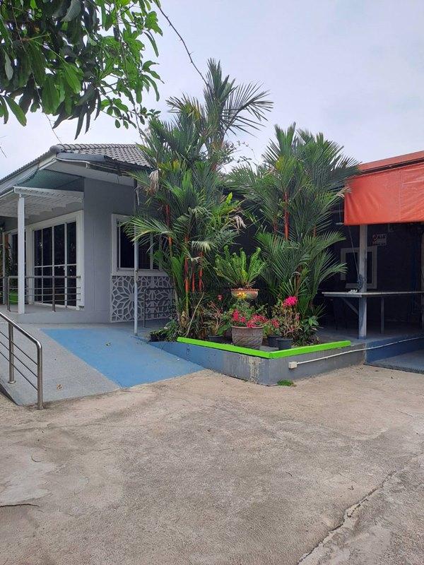 ขายบ้านเดี่ยว 1 ชั้น หมู่บ้านหนองสรวง อ.ศรีประจันต์ สุพรรณบุรี ใกล้โรงเรียน โรงพยาบาล ตลาด โทร 0869220218 1