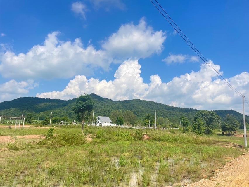 ที่ดิน โพธาราม ราชบุรี 7