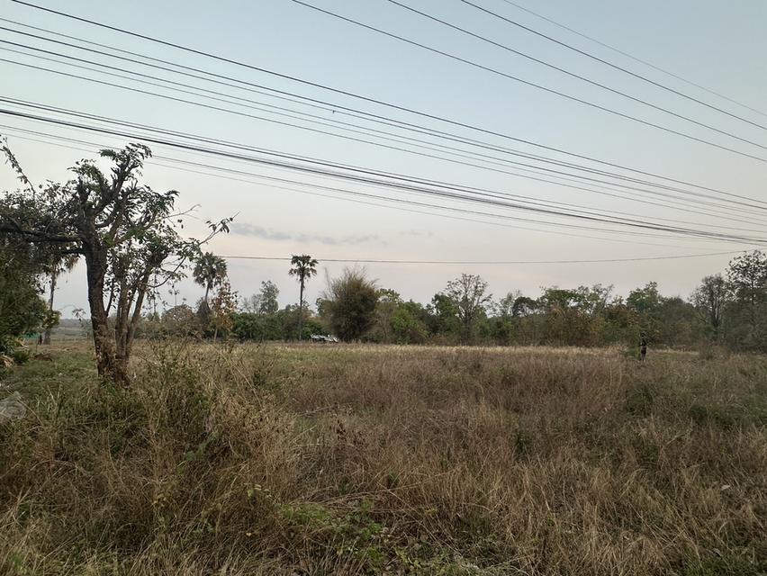 ที่ดินเปล่าที่สวยถมแล้ว 6