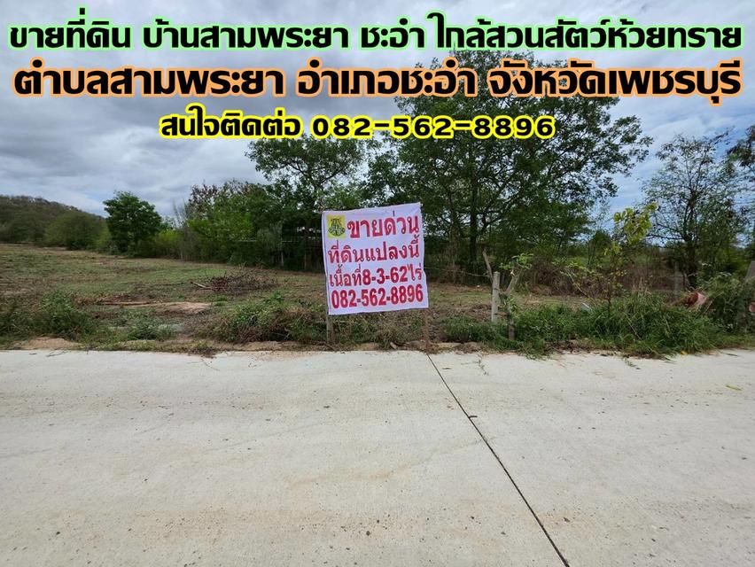 ขายที่ดิน บ้านสามพระยา ชะอำ ใกล้สวนสัตว์ห้วยทราย 1