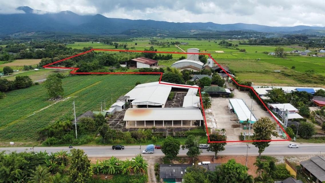 บ้านและที่ดินวิวหลักร้าน 2