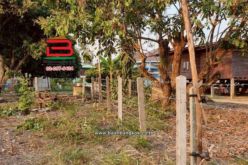 ที่ดินเปล่า  5