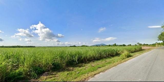 ขายที่ดินบ้านบึงชลบุรี ด่วน! ขายที่ดินชลบุรี 106-1-35 ไร่ หนองชาก-บ้านบึง ใกล้ถนน 331 พื้นที่สีเหลือง 5