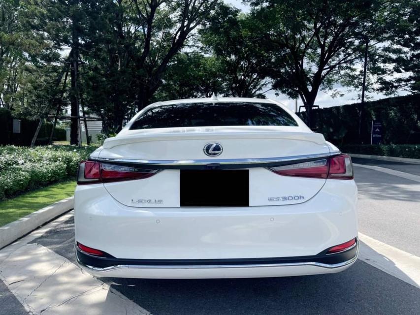 รูป Lexus ES300H Grand Luxrury Hybrid สีขาว ปี 2019 6