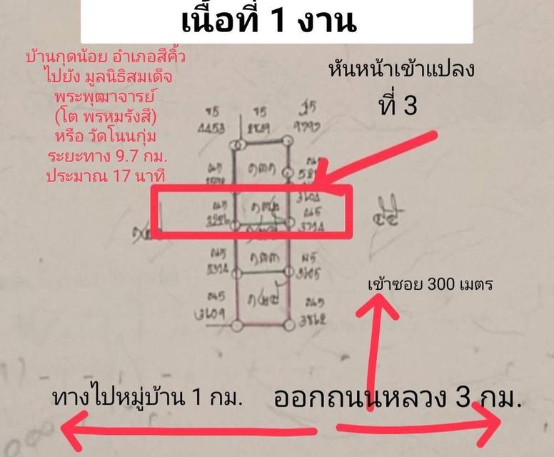 ที่ดินเปล่า เนื้อที่ 1 งาน บ้านกุดน้อย อ.สีคิ้ว จ.นครราชสีมา 1