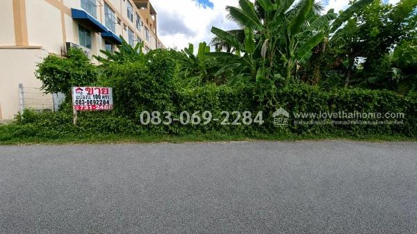 ขายที่ดินลาดพร้าว87 แยก12 เชื่อมออกลาดพร้าว101 ใกล้สถานีรถไฟฟ้า ท้ายซอยลัดออกเลียบทางด่วน-เอกมัย-รามอินทราได้ พื้นที่ 100 ตรว. ราคาถูกที่สุดในนั้นแล้ว 1