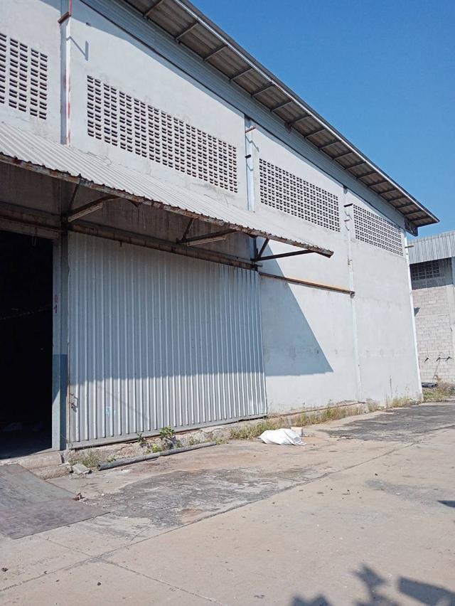 ขายด่วน โรงงาน 20 ไร่ อ.กระทุ่มแบน จ.สมุทรสาคร ราคาถูก ฮวงจุ้ยดี หันทิศดี 8