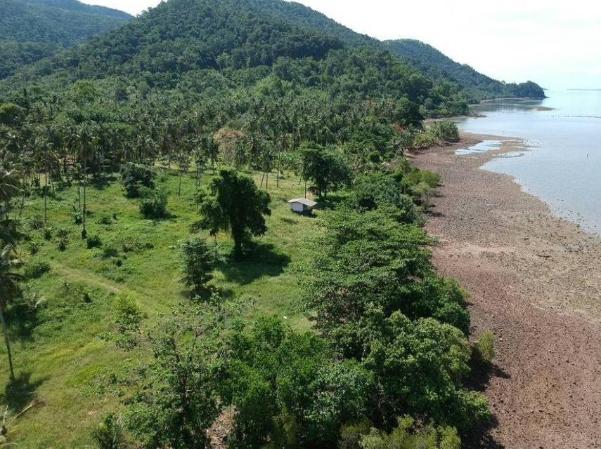 ขายที่ดินสุดพิเศษบนเกาะช้าง19ไร่ 10
