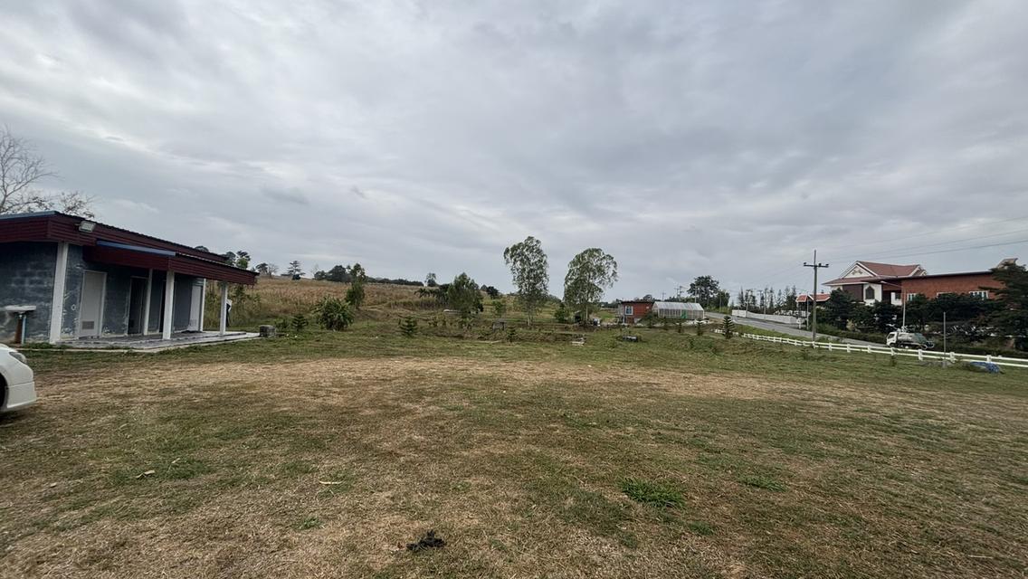 ที่ดินเปล่า 7 ไร่ 2 งาน ไร่ละ 9แสน แบ่งได้ อ.วังน้ำเขียว 2