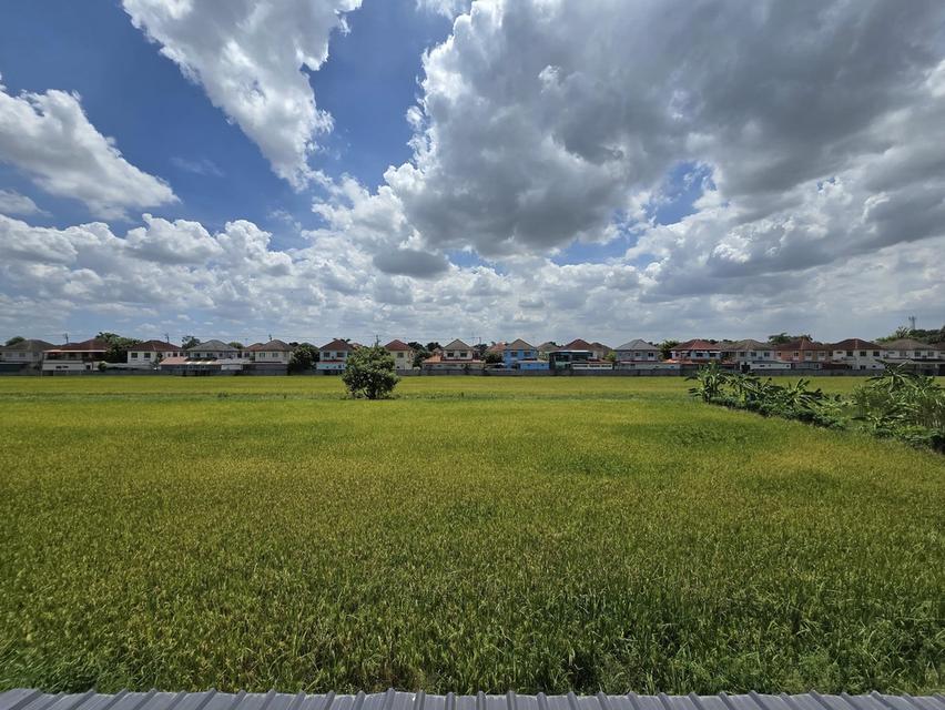 ขาย บ้านเดี่ยว  หมู่บ้าน KC Garden home 14 นิมิตรใหม่ 40   19