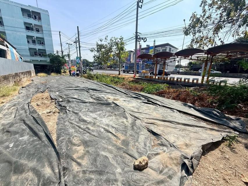 ขายด่วน !! ที่ดิน 46.8 ตารางวา) ติดถนนคอนกรีตสาธารณะ ซอย นวมินทร์74 แยก 1-9 ถนน รัชดา-รามอินทรา รูปที่ 4