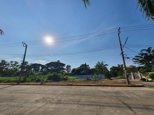 รูป ขาย ที่ดินเปล่า หมู่บ้าน กฤษดานคร 25 แปลงสวย หัวมุม ติดถนน 2 ด้าน ที่ดินถมแล้ว 84 ตร.ว ซอยประชาร่วมใจ 31 มีนบุรี กรุงเทพ 3