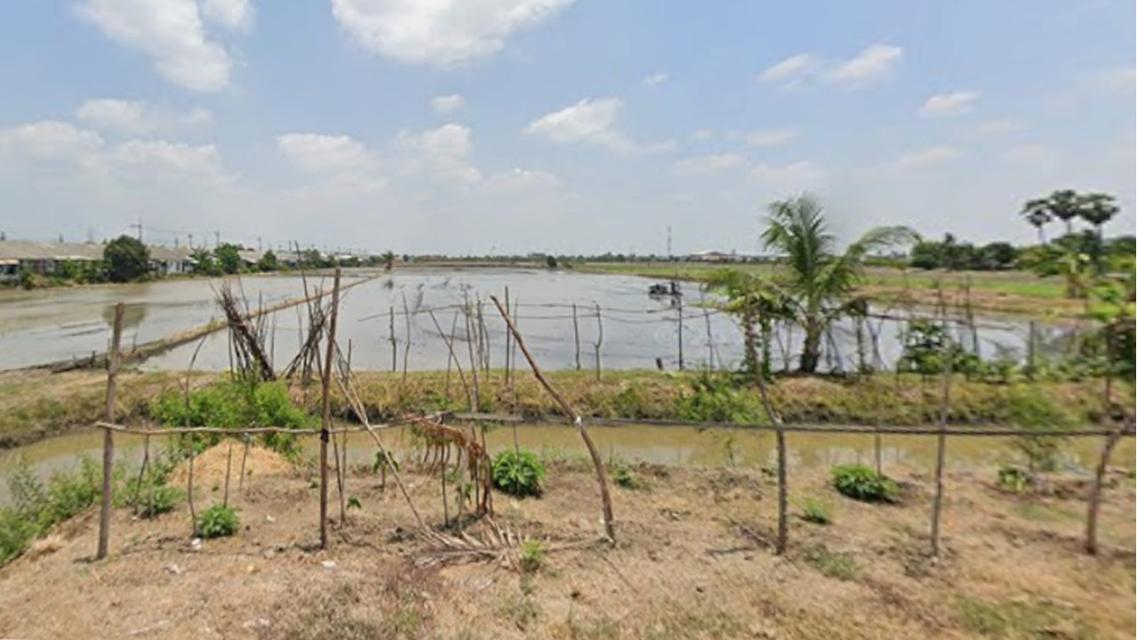 ขายที่ดิน 116 ไร่ ทำเลดีใกล้วัดลาดปลาดุก ทำเลที่มีหมู่บ้านจัดสรรเยอะ เหมาะแก่การลงทุน ติดถนนสาธารณะประโยชน์