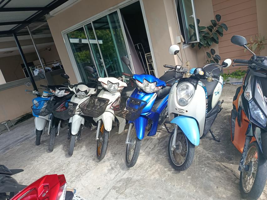 Scoopy-i  6