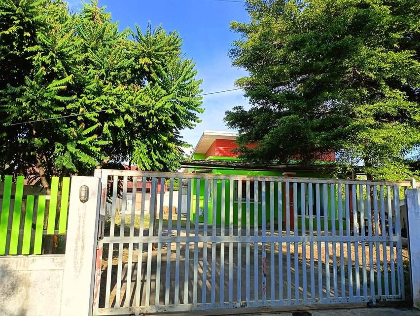 บ้านเดี่ยวให้เช่า 1