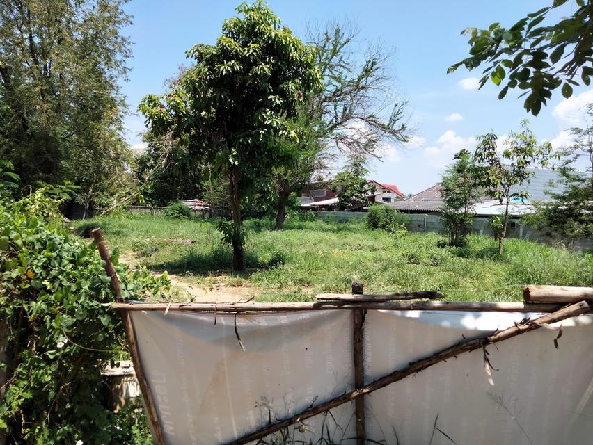 ที่ดิน ในซอยตรงข้ามโรงงานไทยน้ำทิพย์ ท่าพระ ขอนแก่น 4