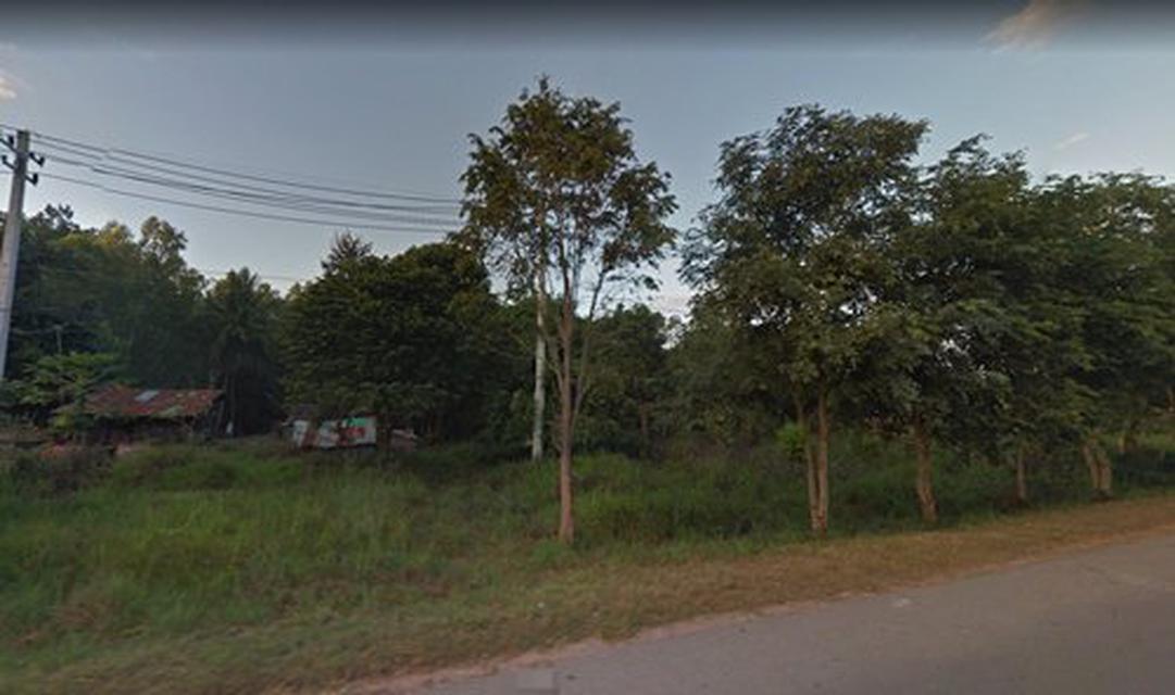 รูป ขาย ที่ดิน อุดร 9 ไร่ 3 งาน 81.9 ตร.ว ติดถนนทางหลวง  4