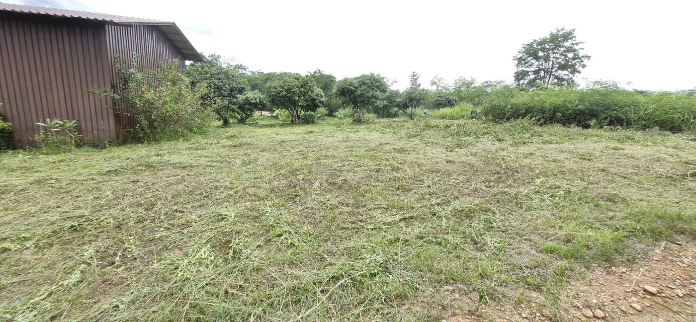 ขายที่ดินพร้อมสิ่งปลูกสร้าง 6