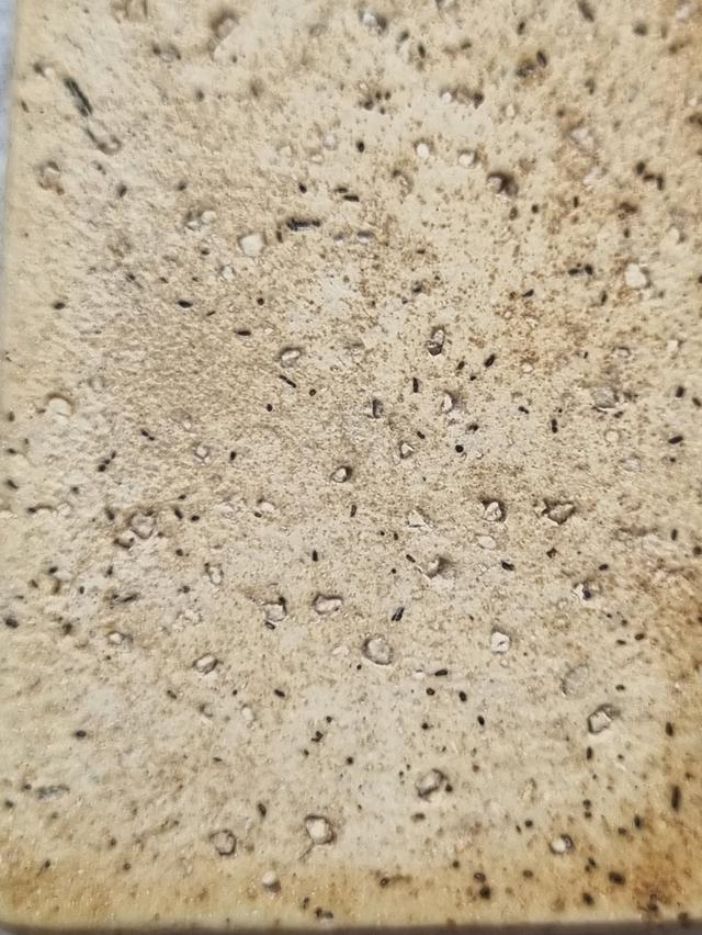 พระสมเด็จ 6