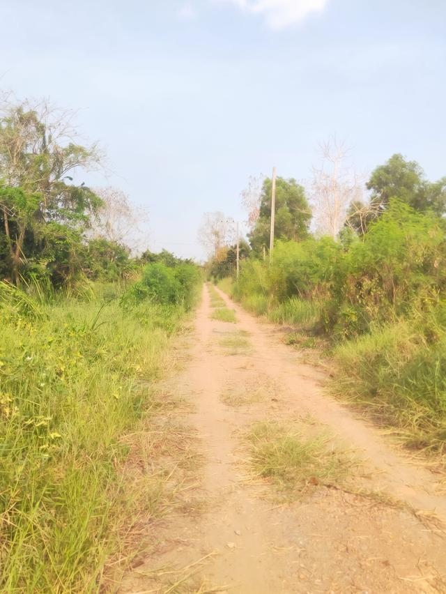 ที่ดิน 🏡 ขายที่ดินหนองจอก เนื้อที่ 2 ไร่ 0 งาน 01 ตร.ว. ใกล้สถานีตำรวจนครบาลประชาสำราญ 5