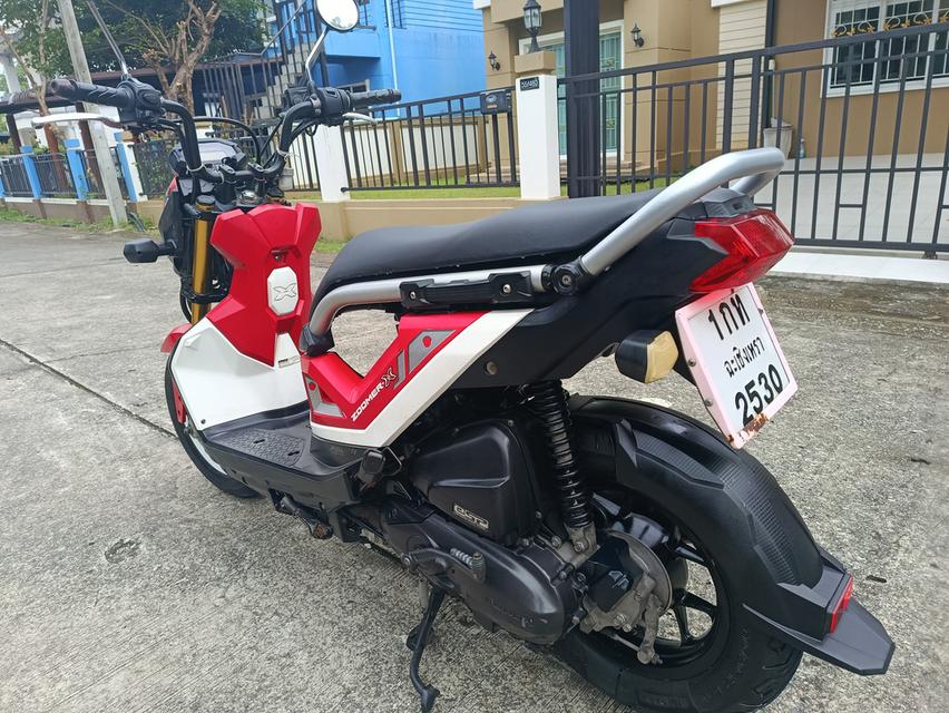 Zoomer -x  6