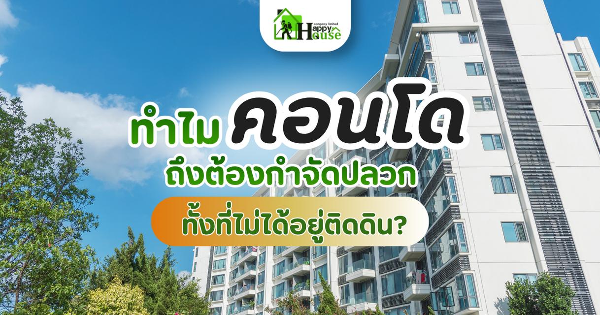 กำจัดปลวกคอนโด ทำไมถึงจำเป็น